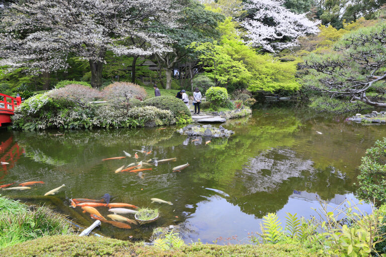 Sharifa Khatri - Park-in-Tokoyo-